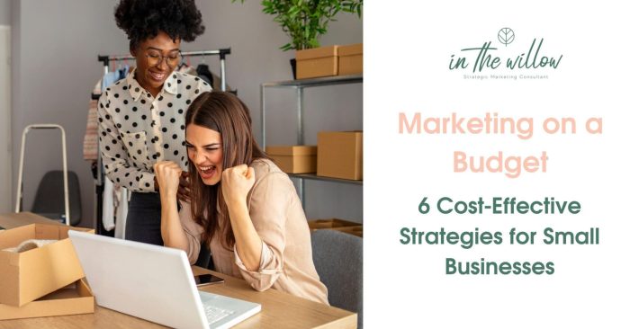 Marketing on a Budget: 6 Cost-Effective Strategies for Small Businesses ...