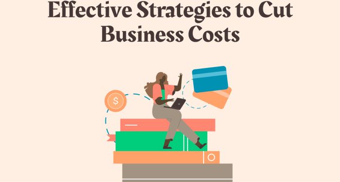 A Guide for Small Business Owners to Cut Costs The Right Way (Effective ...