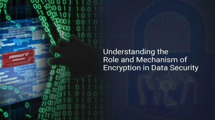 Understanding the Role and Mechanism of Encryption in Data Security