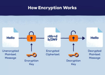What is Encryption? Types of Encryption and How it Works
