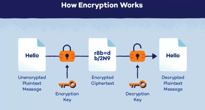 What is Encryption? Types of Encryption and How it Works