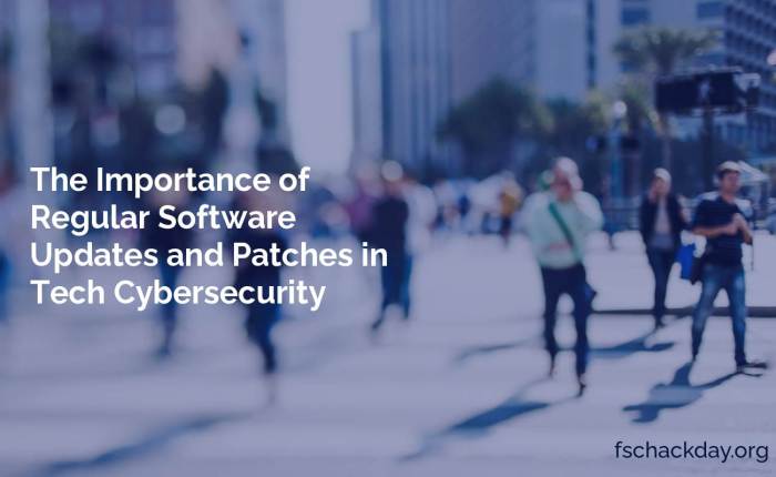 The Importance of Regular Software Updates and Patches in Tech ...